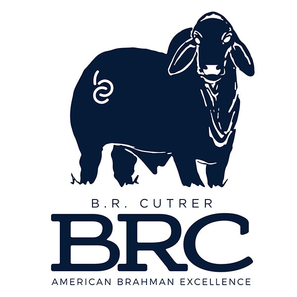 Brahman Country Genetics