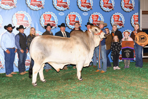 BRC Hey Dude 118 Semen USA