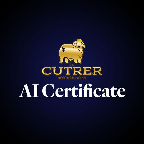 AI Certificate: Noble