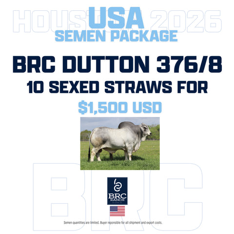 BRC Dutton 376/8 Sexed Semen USA AI Package