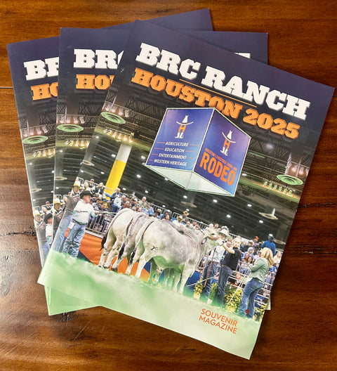 Houston 2025 Souvenir Guide