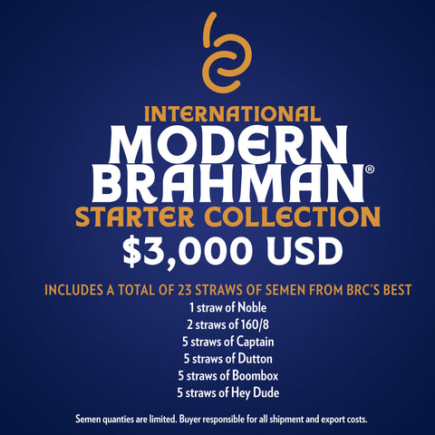 International Modern Brahman Starter Collection