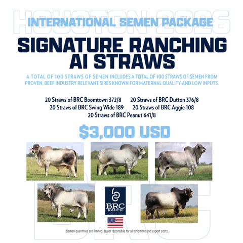 Signature Ranching International AI Package