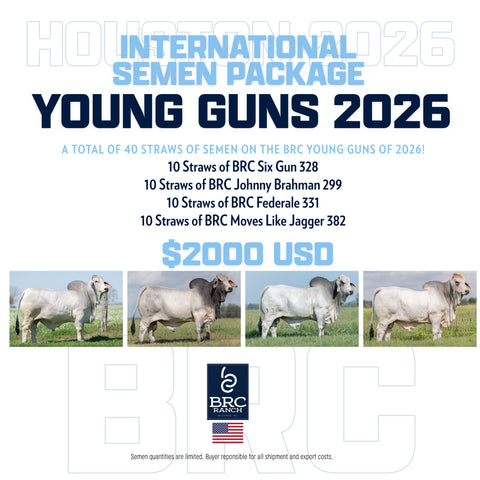 BRC Young Guns International Semen Package