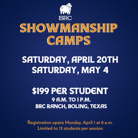 BRC Showmanship Clinics / Camp